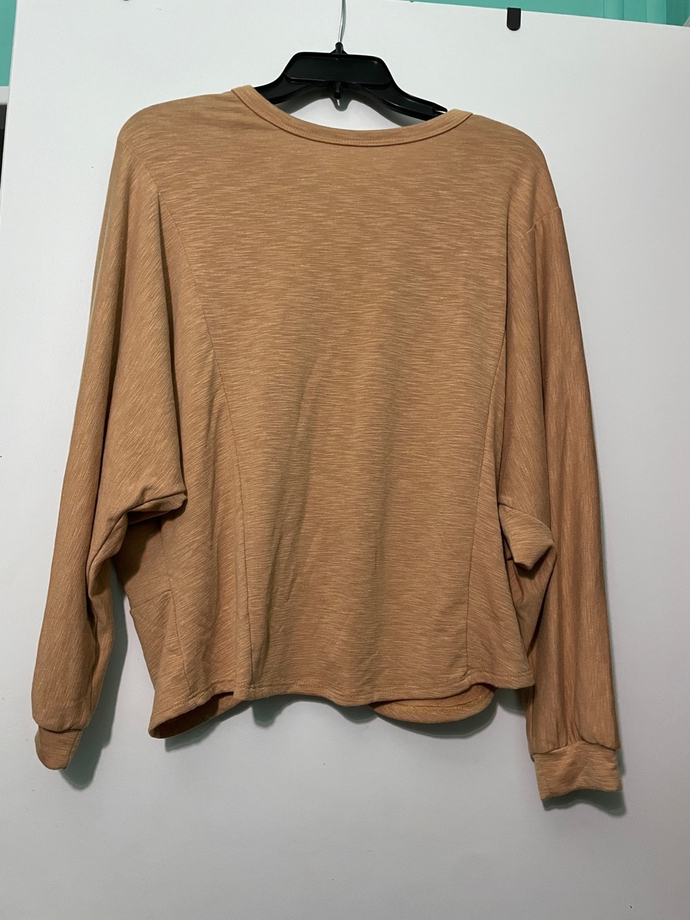 white birch Women's Long-Sleeve Crewneck Top in Tan